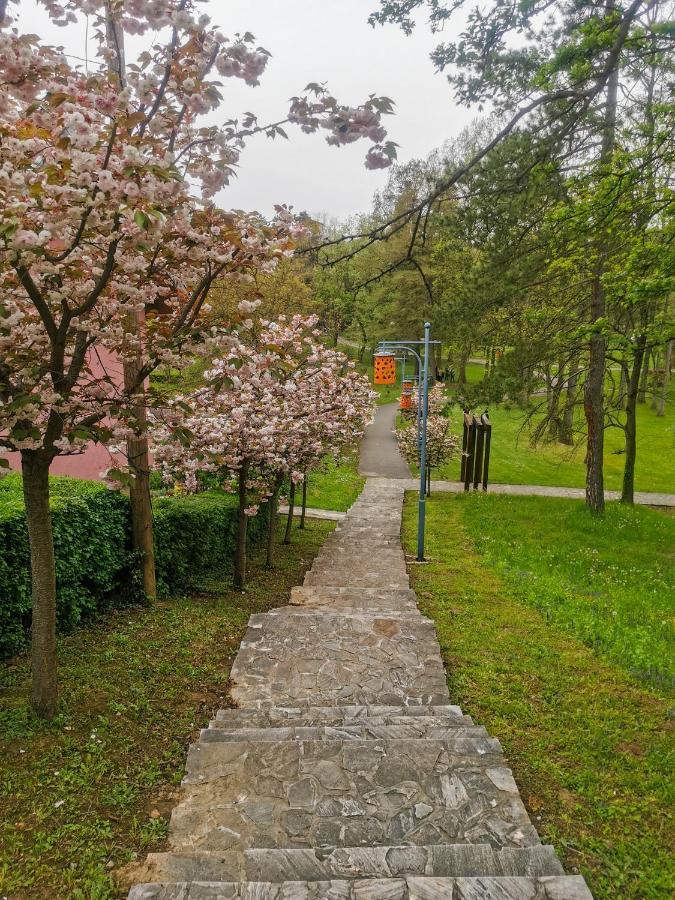 Apartman Japanski Vrt, Centar Vrnjacka Banja Luaran gambar